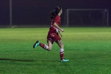Bild 299 - Frauen TuS Tensfeld - TSV Wiemersdorf : Ergebnis: 4:2